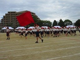 IMG_3581.jpg