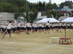 IMG_3588.jpg