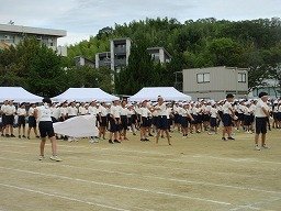 IMG_3596.jpg