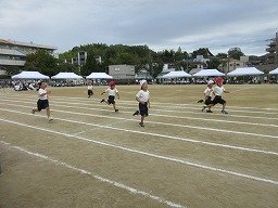 IMG_3601.jpg