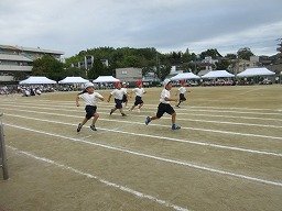 IMG_3603.jpg