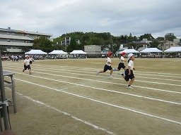 IMG_3608.jpg
