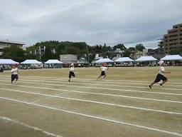IMG_3609.jpg