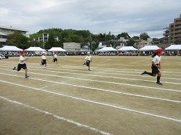 IMG_3611.jpg