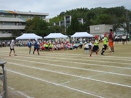 IMG_3615.jpg