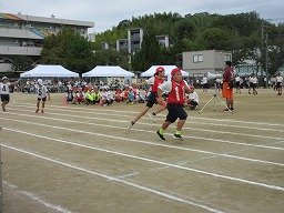 IMG_3616.jpg