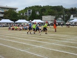 IMG_3617.jpg