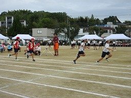 IMG_3618.jpg