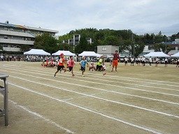 IMG_3622.jpg