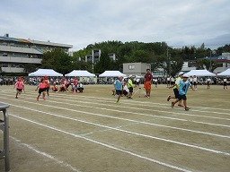 IMG_3623.jpg