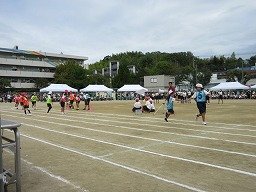 IMG_3624.jpg