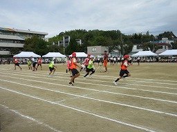 IMG_3625.jpg