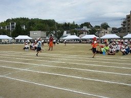 IMG_3627.jpg