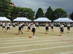 IMG_3629.jpg
