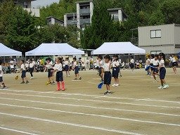IMG_3632.jpg