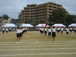 IMG_3638.jpg
