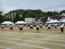 IMG_3639.jpg