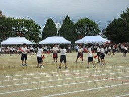 IMG_3644.jpg