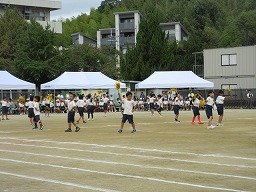 IMG_3646.jpg