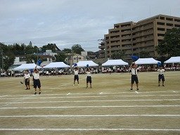 IMG_3647.jpg