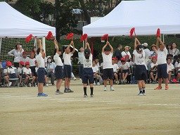IMG_3651.jpg