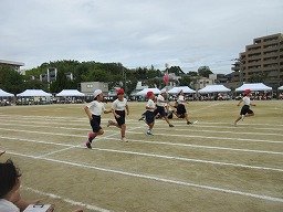 IMG_3652.jpg