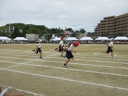 IMG_3654.jpg