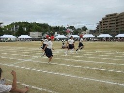 IMG_3658.jpg