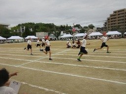 IMG_3666.jpg