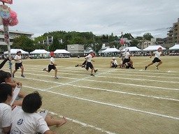 IMG_3667.jpg