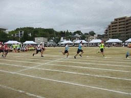 IMG_3668.jpg