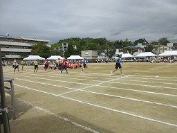 IMG_3674.jpg