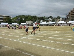 IMG_3677.jpg