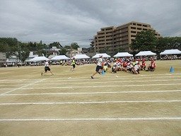 IMG_3680.jpg