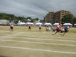IMG_3684.jpg
