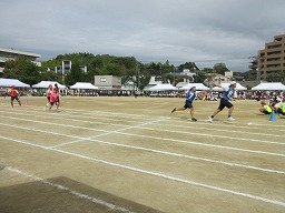 IMG_3686.jpg