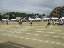 IMG_3687.jpg