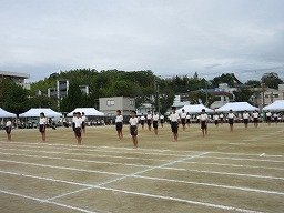 IMG_3691.jpg