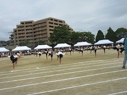 IMG_3692.jpg
