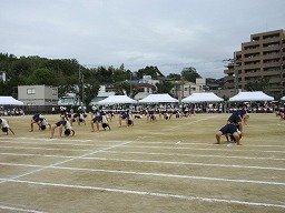 IMG_3693.jpg