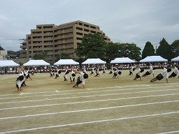 IMG_3695.jpg