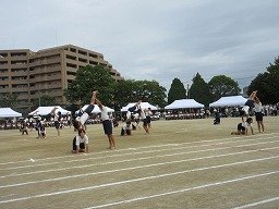IMG_3696.jpg