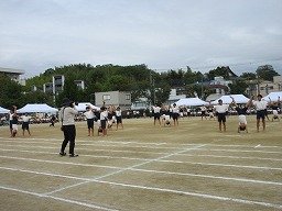 IMG_3698.jpg