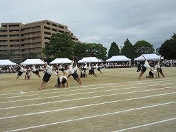 IMG_3700.jpg