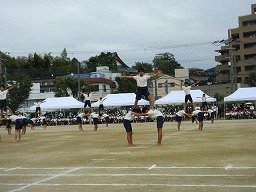 IMG_3701.jpg