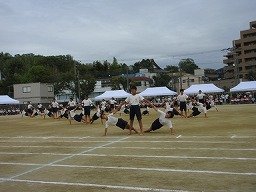 IMG_3702.jpg