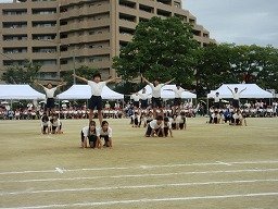 IMG_3704.jpg