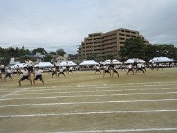 IMG_3706.jpg