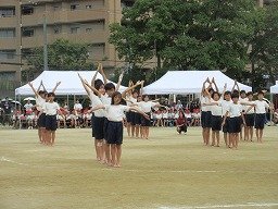 IMG_3708.jpg