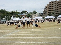IMG_3710.jpg